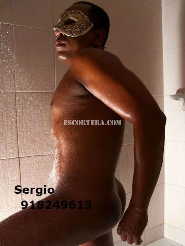 escorts - mulatoboaverga - Portugal - Aveiro - 912674567 - 1
