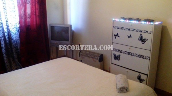 escorts - mulatoboaverga - Portugal - Porto - 912674567 - 8