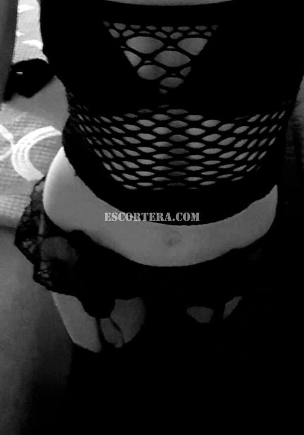 acompanhantes - Sandra - Portugal - Porto - 912646787 - 2