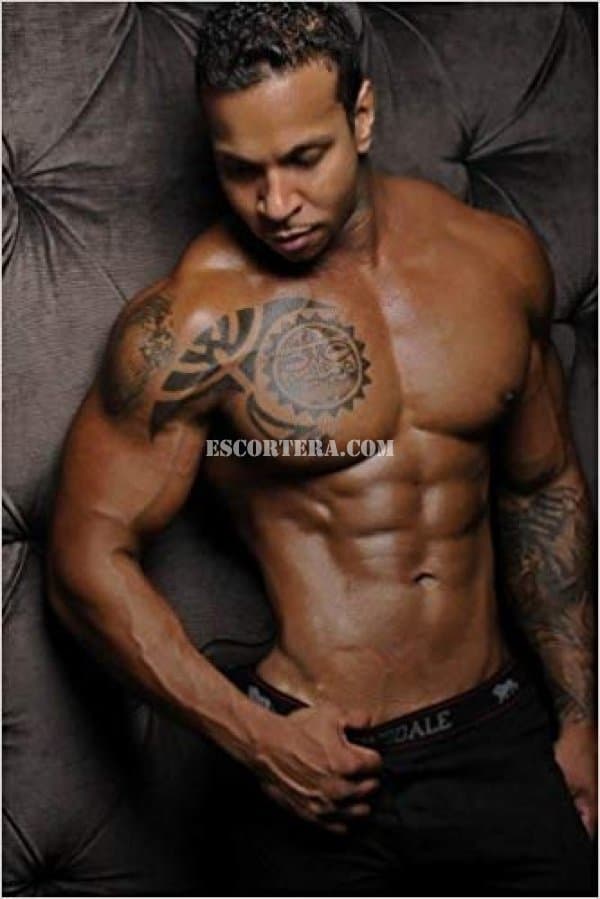 acompanhantes - Brunopalma - Portugal - Porto - 913728584 - 2