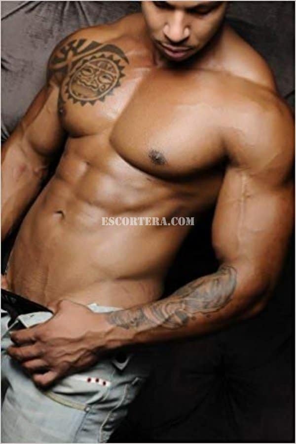 acompanhantes - Brunopalma - Portugal - Porto - 913728584 - 4