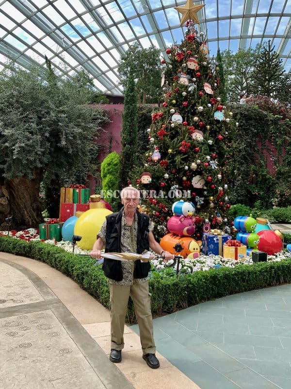 acompanhantes - guibors - Portugal - Faro - 911839424 - 3