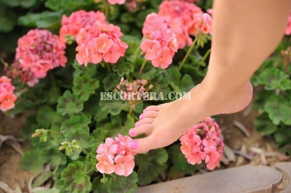 acompanhantes - Laura - Portugal - Lisboa - 927982458 - 4