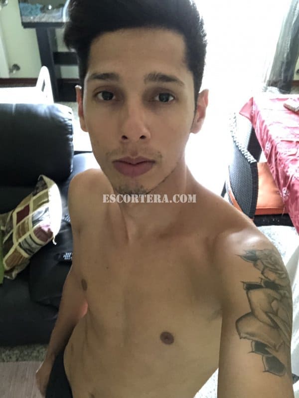 escorts - BielXXL - Portugal - Setubal - 936491519 - 3