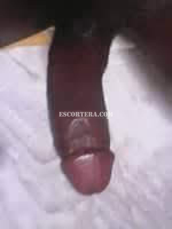 acompanhantes - ShemalleBlack - Portugal - Braga - 915270286 - 6