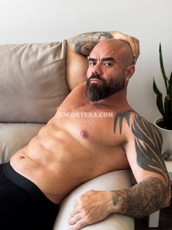 acompanhantes - JONAS VIPT - Portugal - Lisboa - 911878384 - 1