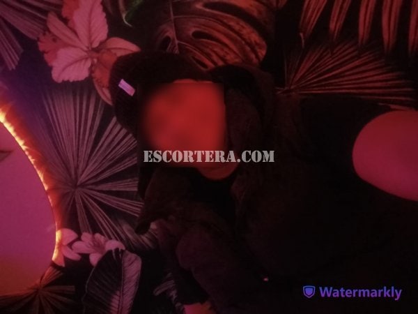 escorts - Boy Lisboa - Portugal - Lisboa - 927955347 - 2